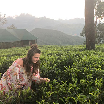 Plan the best solo trips in top vacation destinations around the globe, with Glamping Hub.