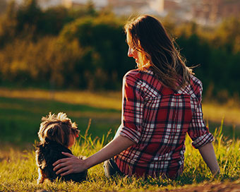 Find unique, pet-friendly hotels near me and other places to camp with dogs on Glamping Hub.