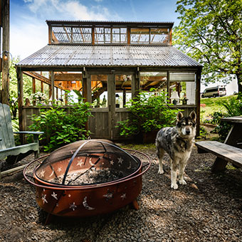 Glamping Hub has the best pet-friendly cabins and places to go camping with dogs.