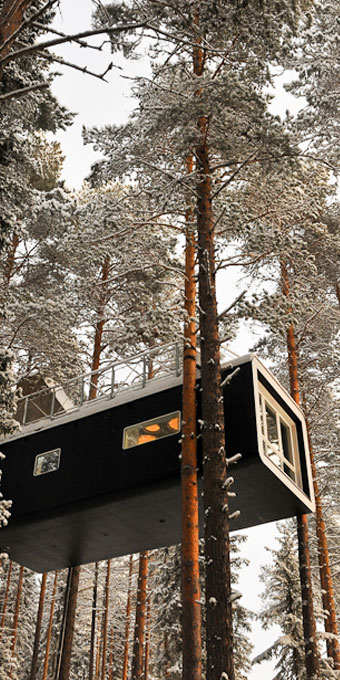 Glamping Hub is home to outdoor vacations and amazing eco vacation rentals, like tree houses for rent.